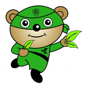 Green ninja bear