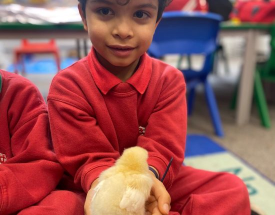 Student holding a chick